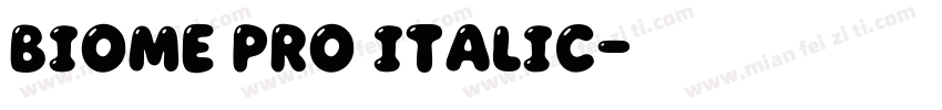 Biome Pro Italic字体转换